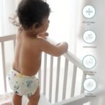Tidy Sleep Pack of 6 New born Baby's 3 Layer Cotton Cloth Nappies/Langot/nappy Washable and Reusable Nappies Assorted Color (9-12M) - Fast Shipping to USA & Canada - Image 4