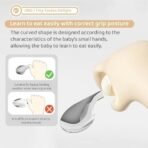 StarAndDaisy Stainless Steel Divided Baby Plates for Babies (White) - Fast Shipping to USA & Canada - Image 5