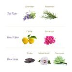 Yardley London English Lavender Anti Perspirant Deodorant Roll On for Women, 50ml - Fast Shipping to USA & Canada - Image 5