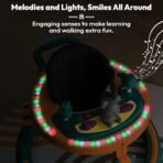 StarAndDaisy Baby Walkers for 6-24 Month Baby Boy Girl /360?Walker for Kids with 7 Level Height Adjustment/Walker for Baby with Switchable Food & Musical Toy Tray -Orange Green - Fast Shipping to USA & Canada - Image 3