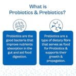 TATA 1mg Probiotics 30B CFU + Prebiotic - 60 Caps - Fast Shipping to USA & Canada - Image 6