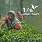 Pansari Platinum Premium CTC Chai with 17% Long Leaves Tea | Assam & Darjeeling Blend Tea | 500g (250g x 2) Pack | Bold, Rich Aroma for an Authentic Chai Experience - Fast Shipping to USA & Canada - Image 5