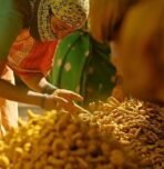 Orika Salem Turmeric Powder, Haldi Powder (200 Gms) - Fast Shipping to USA & Canada - Image 5