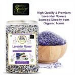 Online Quality Store Lavender Flower Herbal Tea (100g) - Fast Shipping to USA & Canada - Image 4