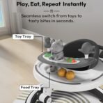 StarAndDaisy Baby Walkers for 6-18 Month Baby Boy Girl / 360? Walker for Kids with RGB Light, 7 Level Height Adjustment/Baby Walker with Switchable Food & Musical Toy Tray. - Fast Shipping to USA & Canada - Image 7