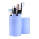 Focallure Professional 12Pcs Makeup Brush Set with Storage Box (Blue) - Fast Shipping to USA & Canada