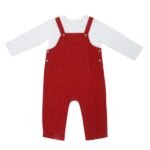 haus & kinder 100% Cotton Baby Boy Dungaree with Full Sleeve Tshirt for 9-12 Months (Red) - Fast Shipping to USA & Canada