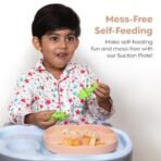 a baby cherry - Suction Plates for Baby & Toddler | Silicone Plates for Babies | BPA Free | Divided Plate for Kids Self Feeding 6M ~24 M - Fast Shipping to USA & Canada - Image 3