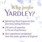 Yardley London English Lavender Anti Perspirant Deodorant Roll On for Women, 50ml - Fast Shipping to USA & Canada - Image 4