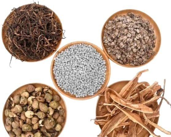 AB BRAND Panchkutta Mix - 250 GM (Mix of fine Quality Sangri, Ker, Kumathiya, Mirchi Tadka, Gunda and Whole Amchoor) - Fast Shipping to USA & Canada