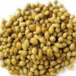 AB BRAND Organic Coriander Seeds | Dhaniya | Coriander Whole | Khada Dhania | Sabut Daniyalu Seeds with Aroma & Flavour | 100g - Fast Shipping to USA & Canada
