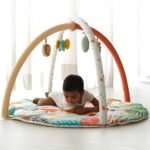 TIDY SLEEP Baby Play Gym | Activity Play Gym with 4 Detachable Toys, | Foldable & Travel-Friendly (Jungle Safari), Multicolor, 1 Count - Fast Shipping to USA & Canada