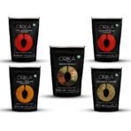 ORIKA Salem Turmeric Powder, Coriander Powder, Hot Red Chilli Powder, Kashmiri Chilli Powder, Garam Masala (Pack of 5, 100gms Each) - Fast Shipping to USA & Canada