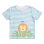 haus & kinder Baby Boy's Half Sleeve 100% Cotton Regular Fit T-Shirt for Boys - Soft & Stylish Printed Tee | Full Sleeve Sweatshirt | 0-3 Years - Fast Shipping to USA & Canada