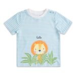 haus & kinder Baby Boy's Half Sleeve 100% Cotton Regular Fit T-Shirt for Boys - Soft & Stylish Printed Tee | Full Sleeve Sweatshirt | 0-3 Years - Fast Shipping to USA & Canada