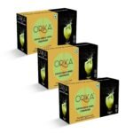 Orika Kacha Aam Lemonade Premix | 570g (30 Sachets) | Infused With Premium Herbs | Handcrafted Instant Drink Premix | Refreshing Summer Drink - Fast Shipping to USA & Canada