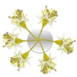 TEMPERIA (6 pcs) Hair Accessories For Women & Girls - Artificial Flowers Bun Juda Bridal Pins for Hairstyle & Decoration - Pins & Clips for Style of Bride (MN01) - Fast Shipping to USA & Canada