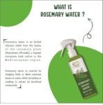 Online Quality Store Rosemary Water Spray for Hair Growth (200ml) - Fast Shipping to USA & Canada - Image 5
