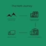 Chimp x Herbs | Kashmir Blend | Tobacco Free & Nicotine Free | 100% Natural Herbs | Pack of 5 | 50 Sticks - Fast Shipping to USA & Canada - Image 5