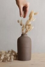 Xtore 5 Pcs Phalaris Dried Grass for Home & Office Decor (Pack of 5, Brown) - Fast Shipping to USA & Canada - Image 3