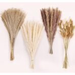 VRB Dec 95 Pcs Set 17inch Natural Dried Pampas Grass,Real Rabbit Bunny Tail,Reed Pampas,Boho Bouquet,Artificial Flowers Decor for Table Vase Home Decoration. (95 Pcs Dried Flower Set) - Fast Shipping to USA & Canada - Image 2