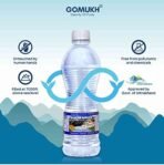 "GOMUKH? Gangajal 2000ML The Purest Holy Water Directly From Gangotri Valley Approved By Govt. Of Uttrakhand For Puja Purposes 2 Litre - Fast Shipping to USA & Canada - Image 2