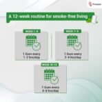 Nixit Nicotine Gum | 2mg | Pack of 10 (100 Count)| 10 Gums each pack | Frost Mint | Sugar Free | Helps Quit Smoking in 12 weeks | WHO Approved Therapy | Aids in Smoking Cessation - Fast Shipping to USA & Canada - Image 4