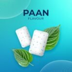 Nicosure Nicotine Gum Paan Bliss-2mg-Pack of 3-30 Gums|Tobacco Control Aid|Paan Bliss|Sugar-free - Fast Shipping to USA & Canada - Image 3