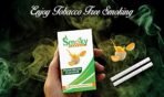 Smoky Herbals Pack of 2 Flavours 100% Tobacco & Nicotine Free Cigarette (BLUEBERRY - MUSKMELON) - 10Sticks x 2 - Fast Shipping to USA & Canada - Image 6