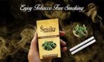 Smoky Herbals 100% Tobacco & Nicotine Free Smoke for Refresh Mood & Relieve Stress for Men & Women (PAAN FLAVOUR, 1 Packet) - Fast Shipping to USA & Canada - Image 4