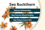 Indiana Sea Buckthorn Berry (100 gm) - Nourishes Skin | Rich in fatty Acids,Omega 3, 6, 7, 9, Collagen, Fiber, Omegas, Vitamin C, Vitamin E| No added Sugar | (100 grams) - Fast Shipping to USA & Canada - Image 5