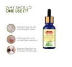 Indiana Rosemary Essential Oil for Hair Growth, Hair Fall Control and Nourishment, Skin Care | Clinically Tested & Ecocert Certified Organic 100% Pure, Natural, Undiluted | 15ml (15ml) - Fast Shipping to USA & Canada - Image 2