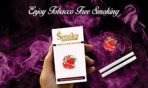 Smoky Herbals 100% Tobacco & Nicotine Free Smoke for Refresh Mood & Relieve Stress for Men & Women (WATERMELON FLAVOUR, 1 Packet) - Fast Shipping to USA & Canada - Image 2