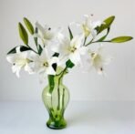 VRB Dec Plastic 1 Pcs (3 Head) Lily Artificial Flowers Bunch Foam Flowers Sticks,Lily Artificial Flowers for Home Decor,Bedroom, Living Room, Table, Balcony, Office, Wedding, Pooja (White Color) - Fast Shipping to USA & Canada - Image 4