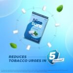 Nicosure Nicotine Gum-2mg-Pack of 3-30 Gums|Tobacco Control Aid|Spearmint Flavour|Doctors' Preference|Aids in Quitting Tobacco|Great taste| Long lasting flavour|Sugar-free - Fast Shipping to USA & Canada - Image 3