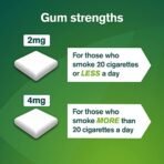 2 mg - Pack of 105 Gums : Nicorette Fruitfusion Gum 2 mg, 105 Pieces - Fast Shipping to USA & Canada - Image 4