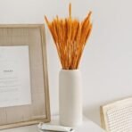 XTORE Dried 8 Pcs Wheat Grass for Home Decoration (Pack of 8, Yellow & Orange) - Fast Shipping to USA & Canada - Image 5