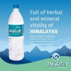 Gangotri purest Gangajal 330 ML (Pack of 6 Bottle) - Fast Shipping to USA & Canada - Image 5