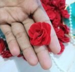 VRB DecTM 50 Pcs Artificial Fabric Rose Fake Flowers Water Floating Flowers,Festival and Events, Home, Table, Bedroom, Pooja Room Decoration Items and DIY. (Red) - Fast Shipping to USA & Canada - Image 2