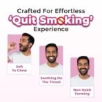 Healing Pharma - Ticonic Nicotine Gum Four mg Helps to Quit Smoking, Tobacco & Gutka Chewing | Fresh Mint Flavour | Sugar Free | Quit Smoking In 12 Weeks - 10 Gum x Pack of 2 - Fast Shipping to USA & Canada - Image 3