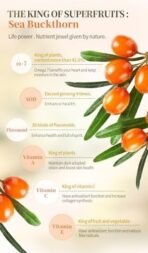 Indiana Organic Dried Sea Buckthorn Berries Powder 100gm | Nourishes skin | Rich in fatty acids | Enrich with Omega 3 and vitamins A1, B1, B2, B9, C, and K | No added sugar (100) - Fast Shipping to USA & Canada - Image 4