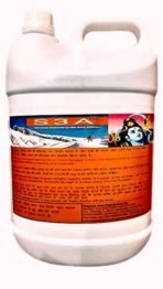 S3A Gangajal 11 Litre Ganga Jal Of Harki-Pauri 'Bramakund' Haridwar Gangajal Water| Brand (11Litre) - Fast Shipping to USA & Canada - Image 2