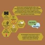 Indiana Organic clove powder | laung powder | Packed on Order Fresh | Zero added Colours, Fillers, Additives & Preservatives | 100 Gram - Fast Shipping to USA & Canada - Image 3