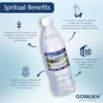 Gangajal 500ML The Purest Holy Water Directly From Gangotri Valley Approved By Govt. Of Uttrakhand For Puja Purposes 0.5 LTR - Fast Shipping to USA & Canada - Image 2