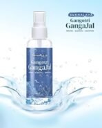 Gangotri Gangajal Sourced at 10,300 Feet - 100% Authentic Holy Gangajal - Holy Gangajal Water for Pooja & Aarti - Non Touched - Brings Positivity at Home (200ml) - Fast Shipping to USA & Canada - Image 2