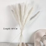 Xtore 8 Pcs Off-White Mini Pampas Grass for Home & Office Decor (Pack of 8, Off-White) - Fast Shipping to USA & Canada - Image 4