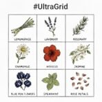 UltraMix Herbal Blend | 100% Natural | No Nicotine, No Tobacco | 10g | Natural Substitute for tobacco | Curated with 9 Exotic Herbs. - Fast Shipping to USA & Canada - Image 4