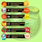 Indiana Organic Moringa Whole Leaves Dry Leaf, Dried Drumstick Tree Leaves, Natural Super-Food ? For Making Herbal Tea, Smoothies, Soups - 35 Gram (Pack of 3) - Fast Shipping to USA & Canada