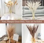 VRB Dec 95 Pcs Set 17inch Natural Dried Pampas Grass,Real Rabbit Bunny Tail,Reed Pampas,Boho Bouquet,Artificial Flowers Decor for Table Vase Home Decoration. (95 Pcs Dried Flower Set) - Fast Shipping to USA & Canada - Image 3