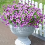 VRB Dec 2 Bunch Artificial Dahlia/Daisy Flower Sticks Fake Bunch Decorative Items for Home Decor, Living Room, Table Decoration, Christmas, Wedding (Purple) - Fast Shipping to USA & Canada - Image 3